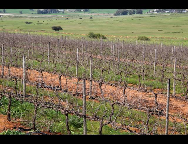 235HA FARM FOR SALE IN MALMESBURY RURAL